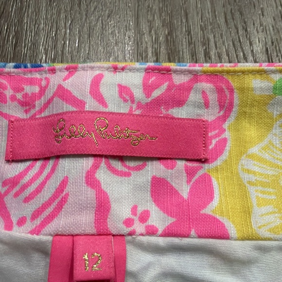 Lilly Pulitzer Cheek to Cheek Patty Skirt 60th Anniversary Size 12 - Picture 8 of 11